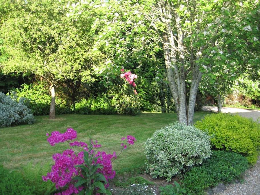 Self Catering Apartment At Beechwalk House. Эннискерри Экстерьер фото